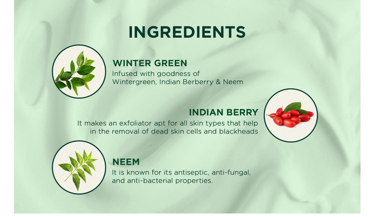 Biotique Winter Green Acne Control Spot Correction Cream 15g ingredient