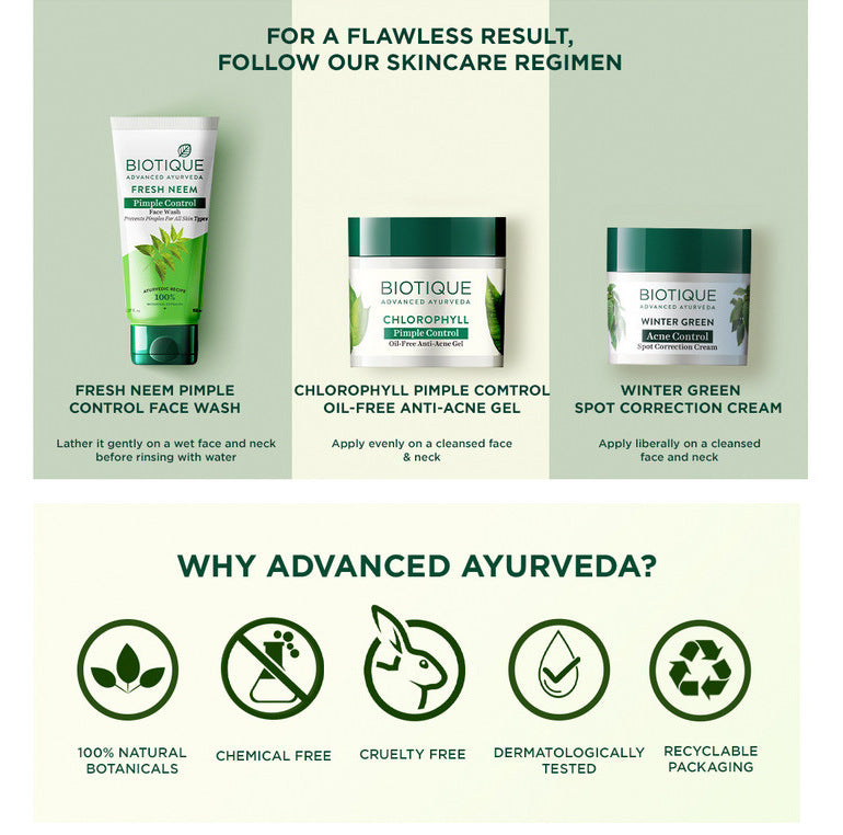 Biotique winter green acne control spot correction cream 15g A+ image