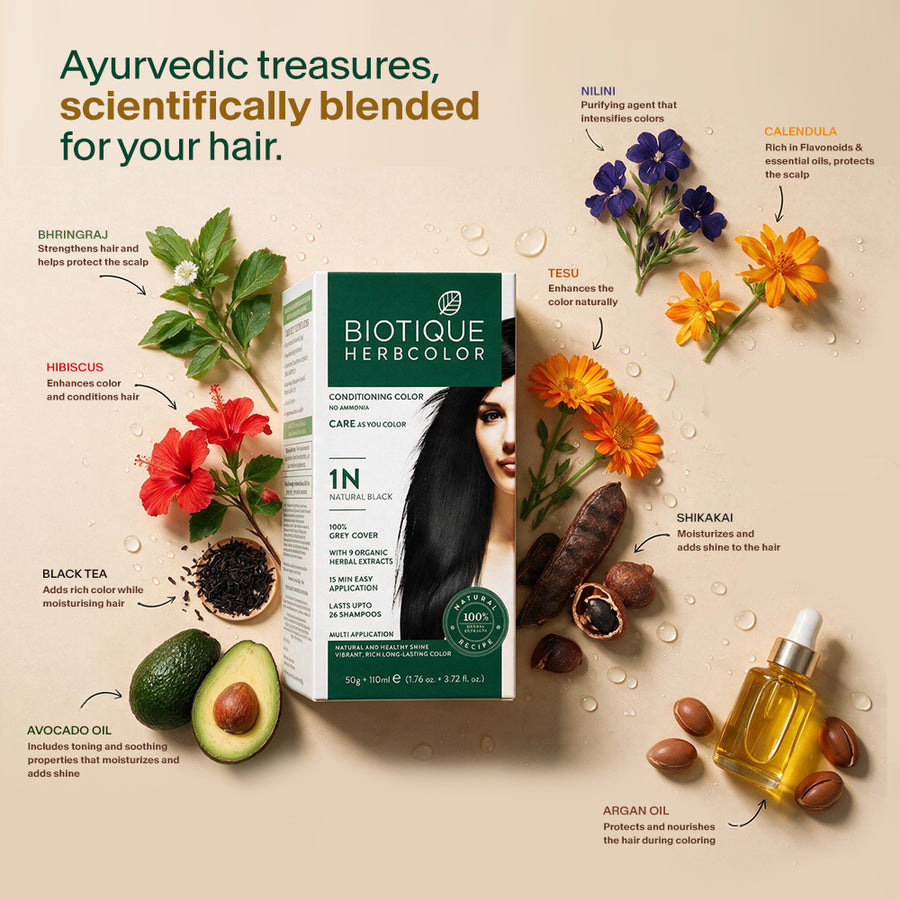 Biotique Herbcolor 1N Natural Black - 50gm + 110ml (Pack of 2)