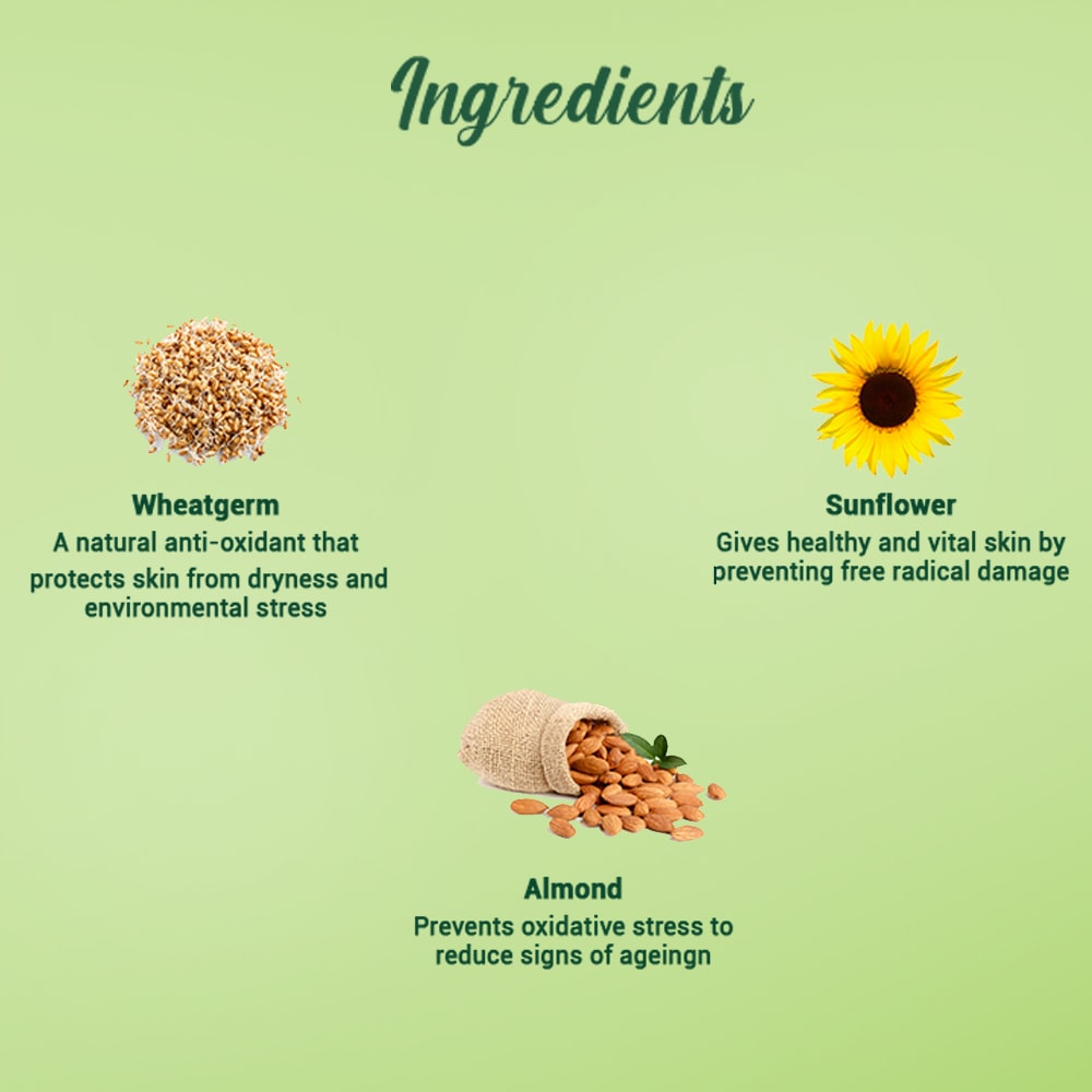 Wheatgerm anti-ageing night cream