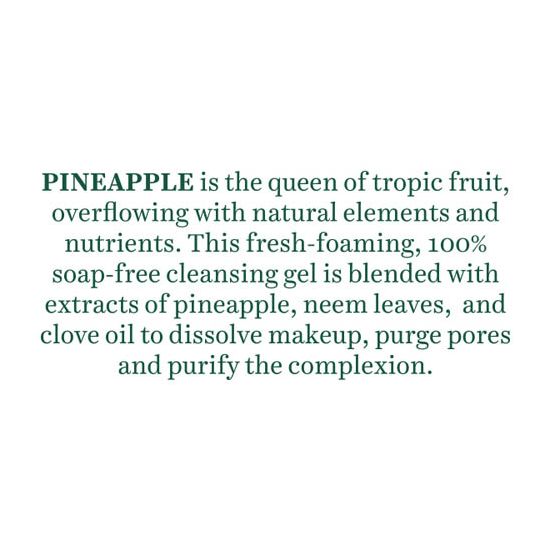 Pineapple Oil Control Foaming Face Cleanser 120ml