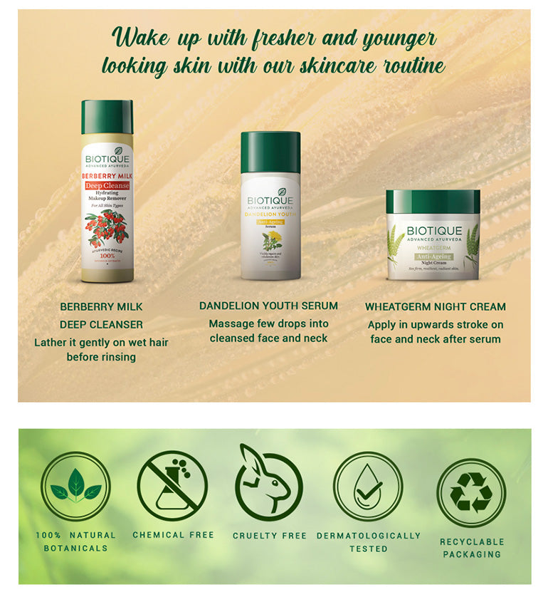 Wheatgerm anti-ageing night cream A+ image