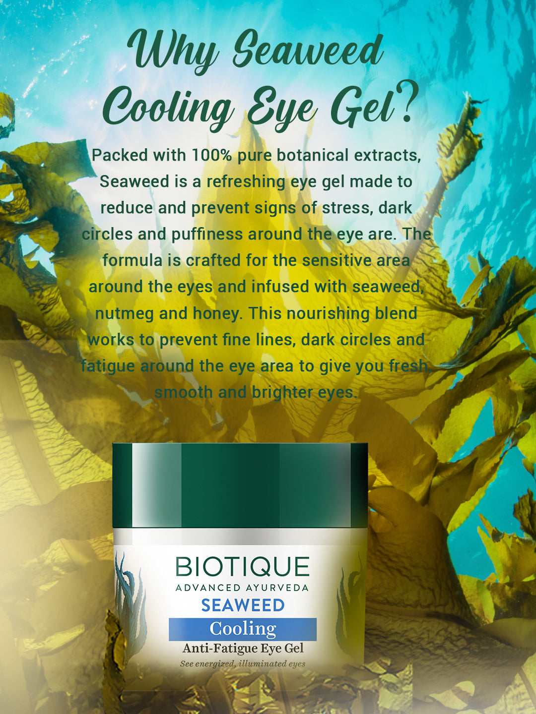 Seaweed cooling anti-fatigue eye gel