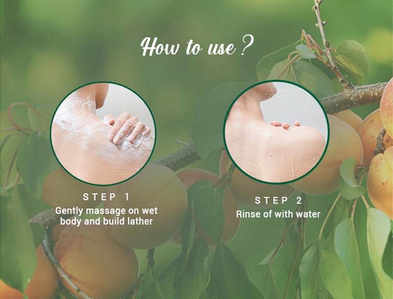 Apricot refreshing body wash A+ image