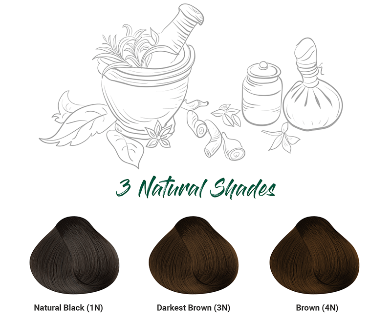 Pack of 3 herbcolor 3n darkest brown 50 gm +110 ml A+ image