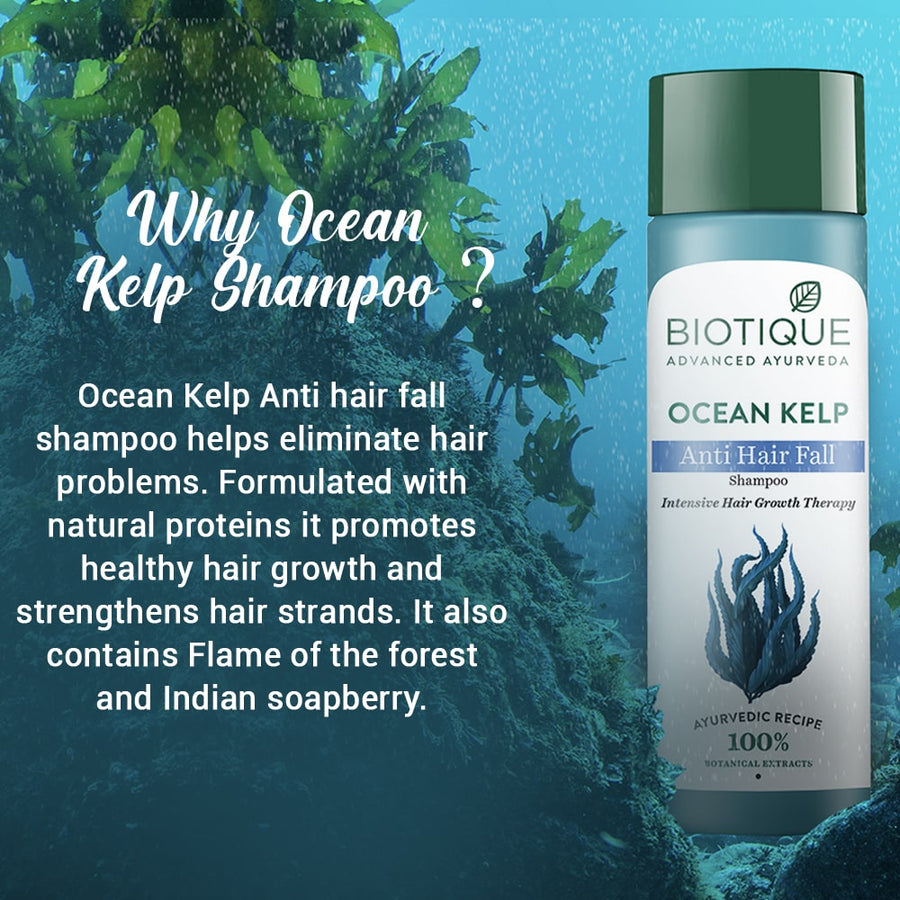 OCEAN KELP Anti Hair Fall Shampoo 340ml