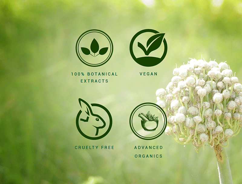 Onion hair oil 200ml A+ image