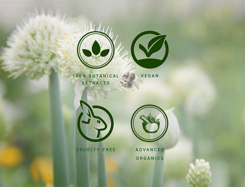 Onion black seed shampoo 300ml A+ image