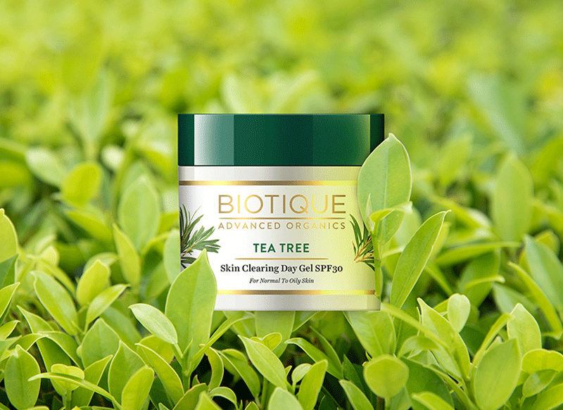 Tea tree skin clearing day gel spf 30 50gm A+ image