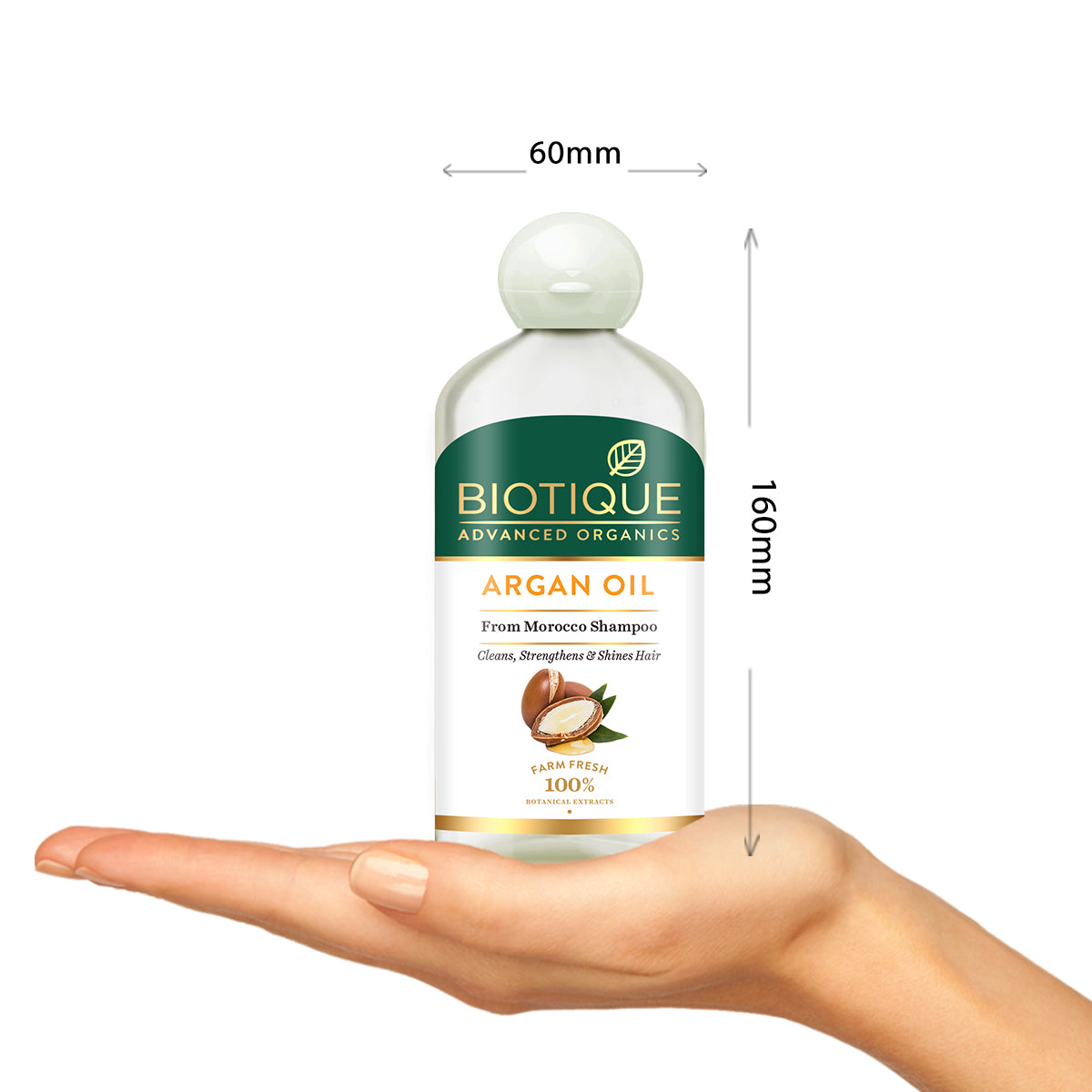 Argan oil from morocco shampoo 300ml