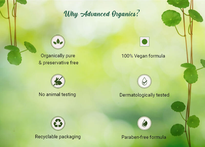 Clear improvement vitamin c & gotu kola night cream 50gm A+ image