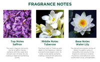 Biotique royal saffron eau de parfum 50ml (pack of 2)