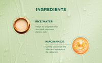 Biotique rice water & niacinamide gel face wash 100ml