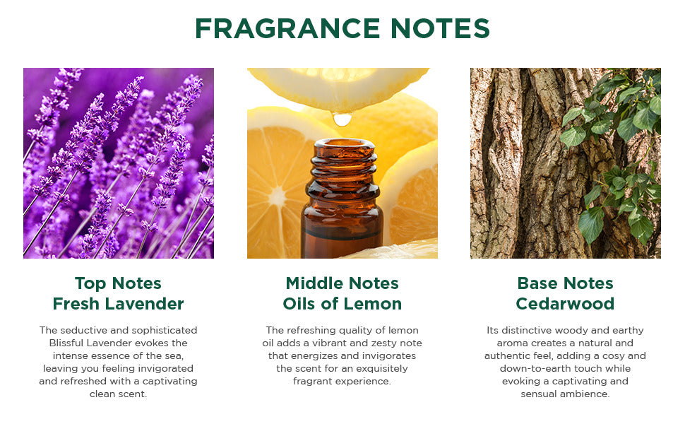 BIOTIQUE BLISSFULL LAVENDER Eau De Toilette 50ml A+ content