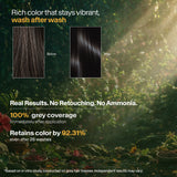 Biotique Herbcolor 1N Natural Black - 50gm + 110ml (Pack of 2)