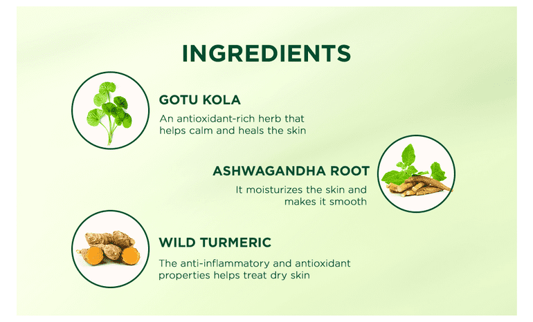 Gotu kola smooth skin body lotion