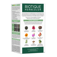 Biotique herbcolor 1n natural black 50 gm +110 ml