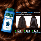 OCEAN KELP Anti Hair Fall Shampoo 340ml (Pack Of 2)