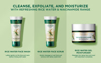 Biotique rice water & niacinamide gel face wash 100ml