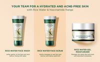 Biotique rice water & niacinamide gel moisturizer 50ml