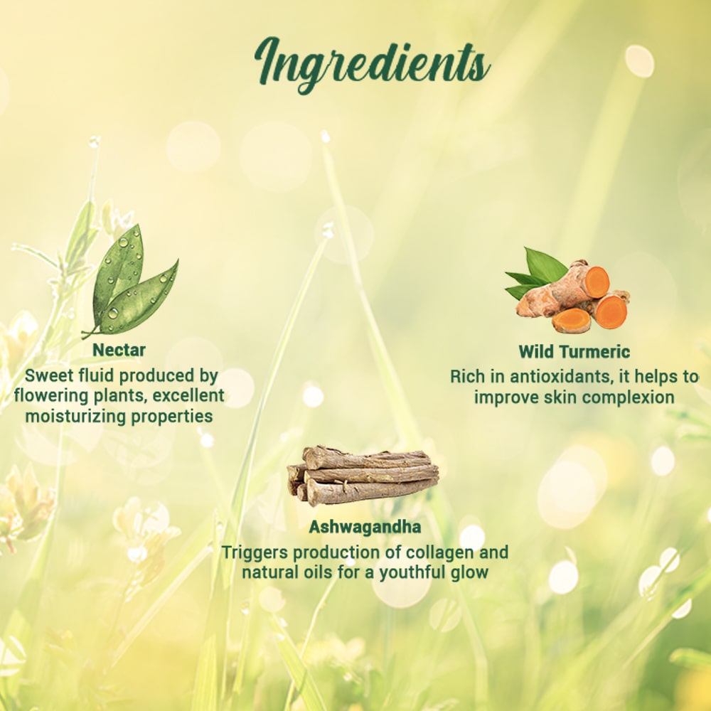 Morning nectar nourish & hydrate moisturizer