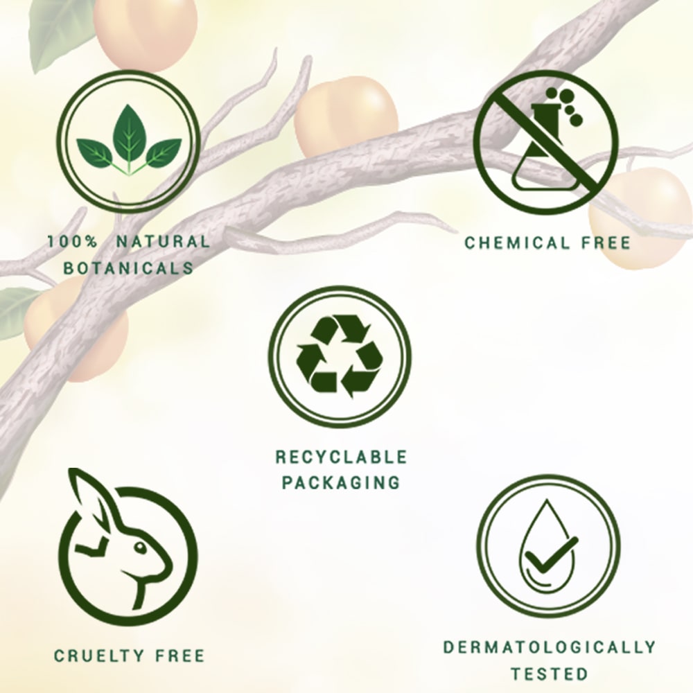 Apricot refreshing body wash