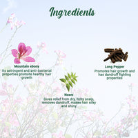 Mountain ebony anti hair fall hair serum 120ml
