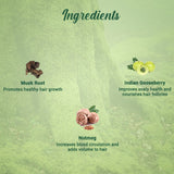 Biotique Musk Root Hair Mask 230g