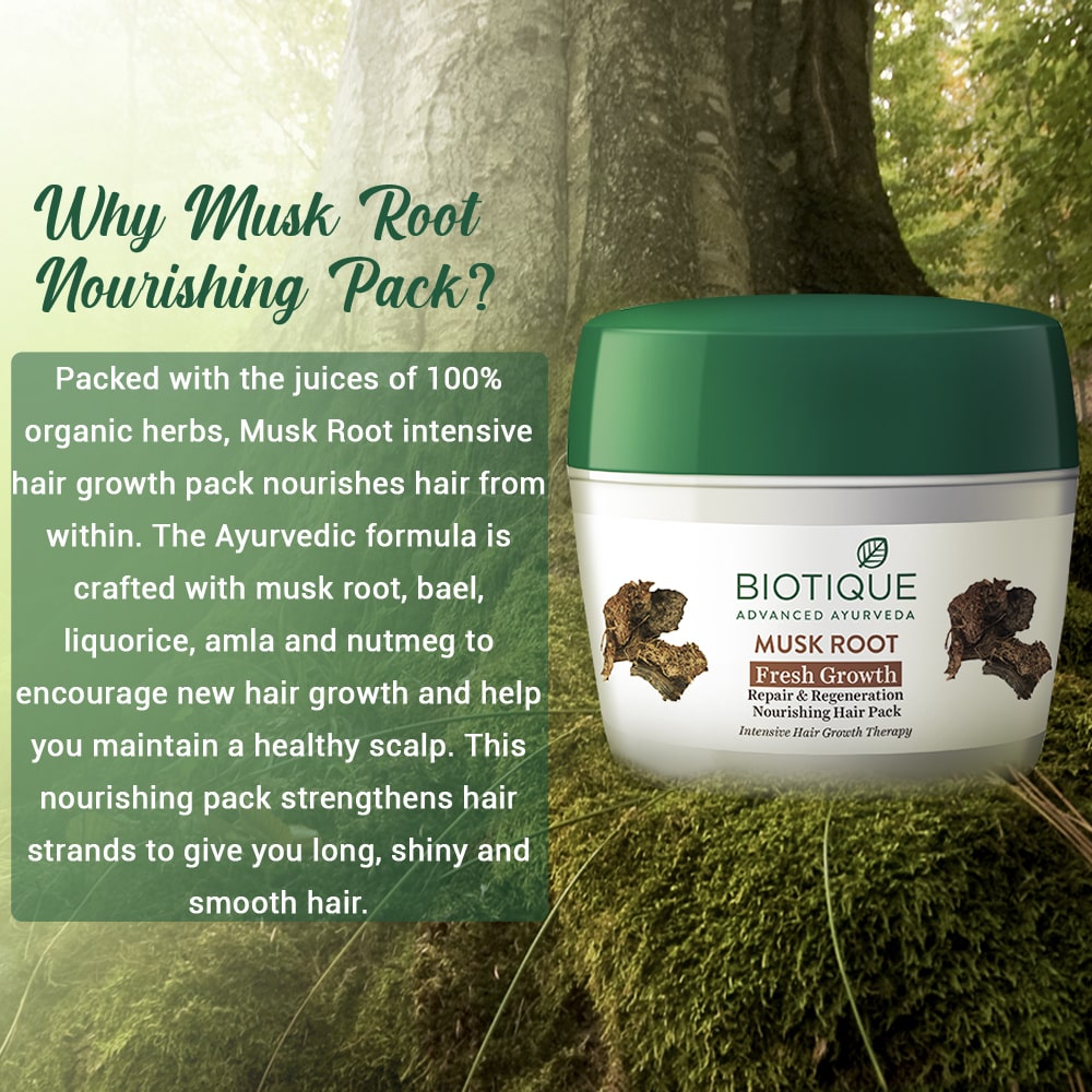 Biotique Musk Root 230g(Hair Pack)