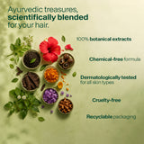 Biotique Herbcolor 1N Natural Black - 50gm + 110ml (Pack of 2)