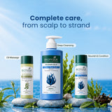 OCEAN KELP Anti Hair Fall Shampoo 650ml