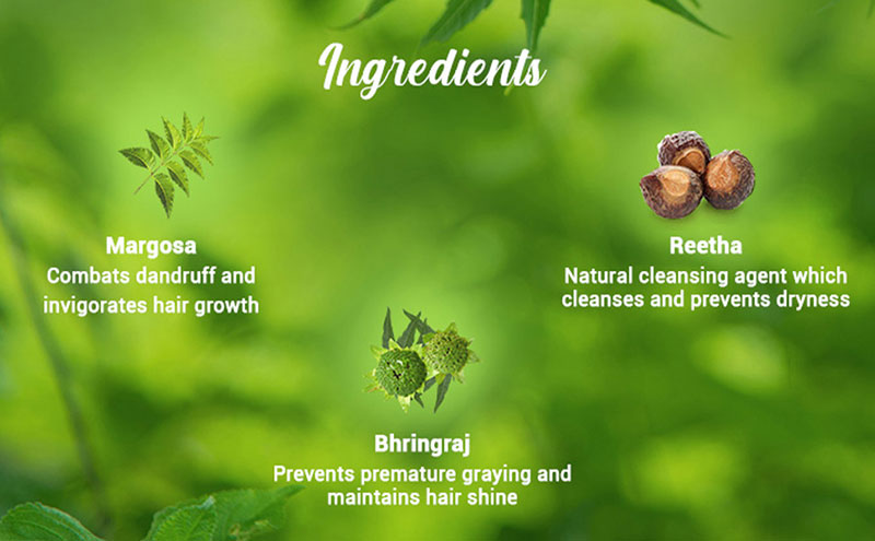 Neem Margosa Anti Dandruff  Shampoo & Conditioner - 800ml A+ content