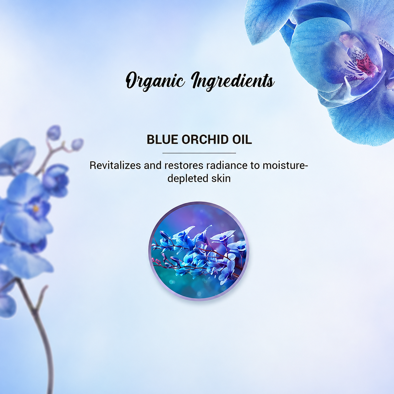 Youth renewal blue orchid anti-ageing treatment oil 30ml