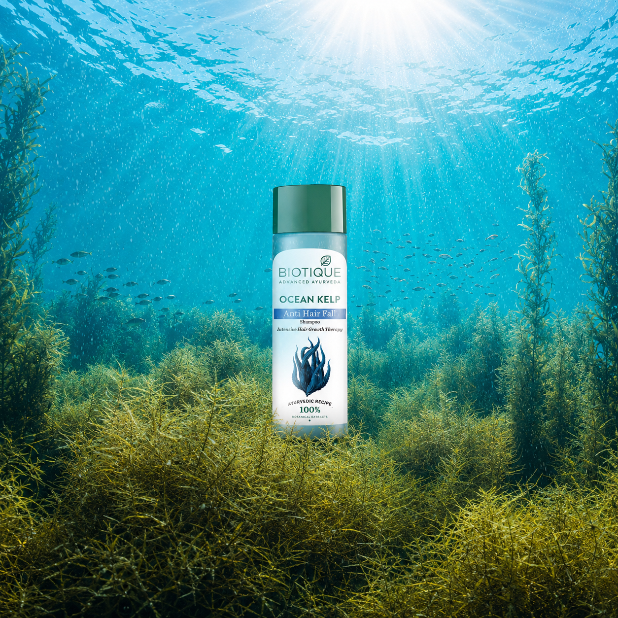 Ocean kelp anti hair fall shampoo 120ml