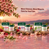 Biotique Fruit Brightening Lip Balm 4g