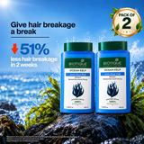 OCEAN KELP Anti Hair Fall Shampoo 340ml (Pack Of 2)
