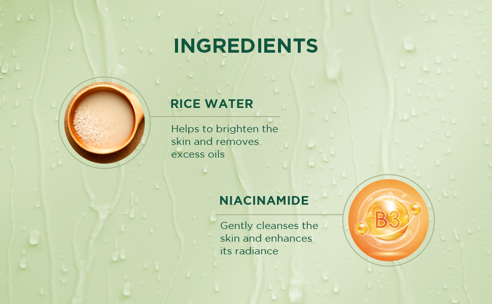 BIOTIQUE RICE WATER & NIACINAMIDE Gel Face Wash 100ml A+ content