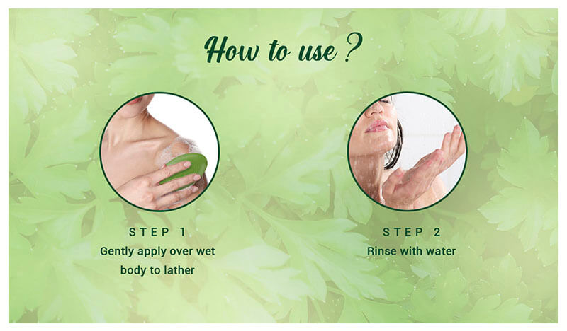 BASIL & PARSLEY Revitalizing Bathing Bar 150g (Pack of 2) A+ content