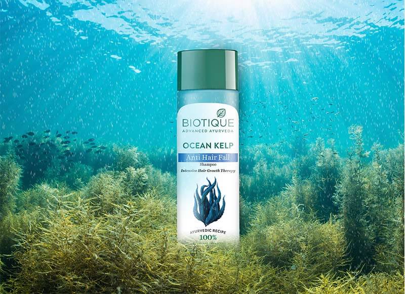 OCEAN KELP Anti Hair Fall Shampoo 340ml A+ content