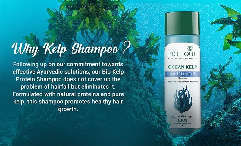 Buy OCEAN KELP Anti Hair Fall Shampoo Online at Best Price Biotique