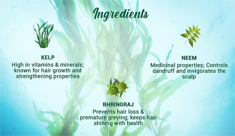OCEAN KELP Anti Hair Fall Shampoo 340ml ingredient