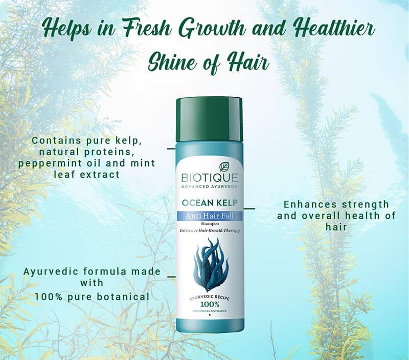 OCEAN KELP Anti Hair Fall Shampoo 340ml A+ content