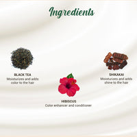Biotique herbcolor 3n darkest brown 50 gm +110 ml (pack of 2)