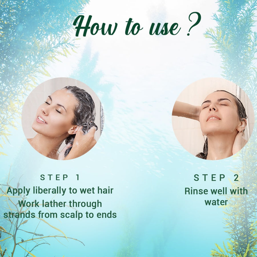 OCEAN KELP Anti Hair Fall Shampoo 340ml