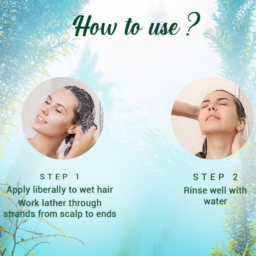 Ocean kelp anti hair fall shampoo 650ml