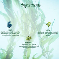 Ocean kelp anti hair fall shampoo 500ml