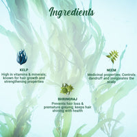 Ocean kelp anti hair fall shampoo 800ml