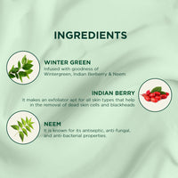 Biotique winter green acne control spot correction cream 15g