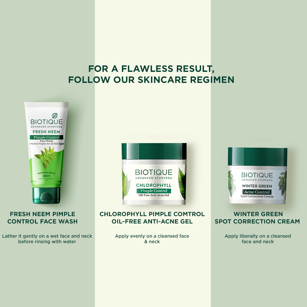 Biotique Winter Green Acne Control Spot Correction Cream 15g