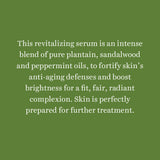 PLANTAIN Nourishing Vitalizer 120ml